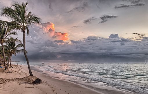 Tropical beach at sunset with palm trees and vibrant clouds over the ocean.