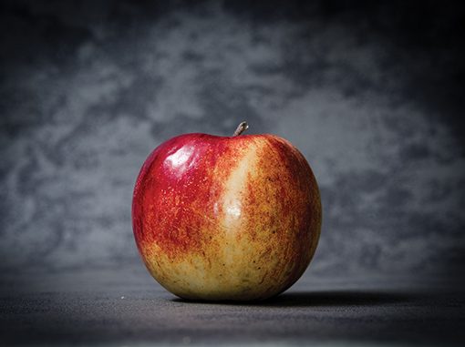 Red and yellow apple on a dark textured background, showcasing freshness and simplicity.
