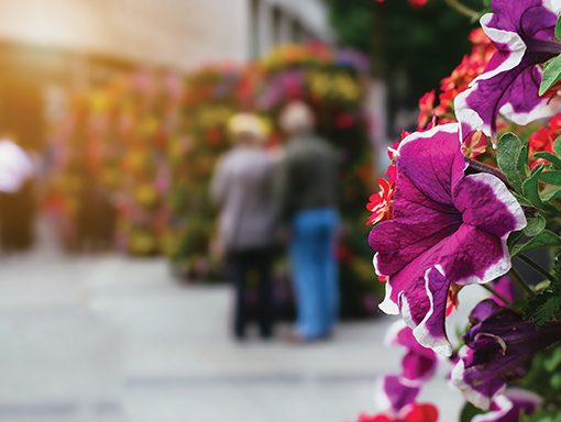 Blurred people walking past vibrant purple and white flowers on city street; colorful urban floral display.