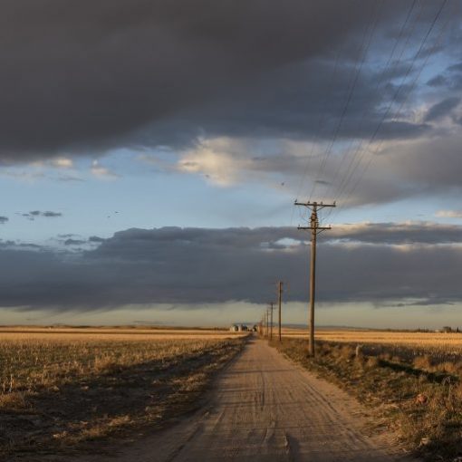 Rural dirt road with telephone poles under a dramatic cloudy sky, stretching through open fields toward the horizon.
